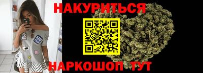 индика Будённовск