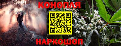 индика Будённовск
